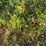 john-deere-50-image-19