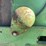 john-deere-70-image-43