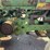 john-deere-70-image-52