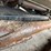 case-ih-2206-image-30