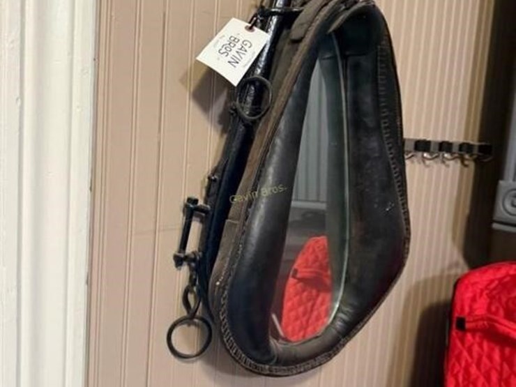 horse-collar-mirror-image-3