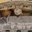 deere-650h-lgp-image-28