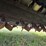 john-deere-220-image-28