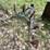 #6114-•-cultivator-attachment-image-1