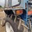 ford-3000-image-13