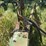 john-deere-737-image-4