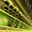 john-deere-9500-image-27