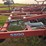 wil-rich-5800-image-19