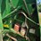 1997-john-deere-556-image-36