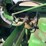 john-deere-620-image-71