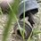 farm-king-y750r-image-9