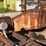 #146-•-montgomery-34hd-hzf-hog-grinder-image-7