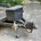 #7003-•-2000-felling-tandem-axle-trailer-(mn-title-in-delay)-image-6