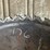 #176-•-56”-circular-saw-blade-image-3