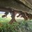 john-deere-220-image-9