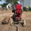 economy-7-horse-hit-and-miss-engine,-cart,-and-original-base-image-8