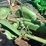 john-deere-la-image-16