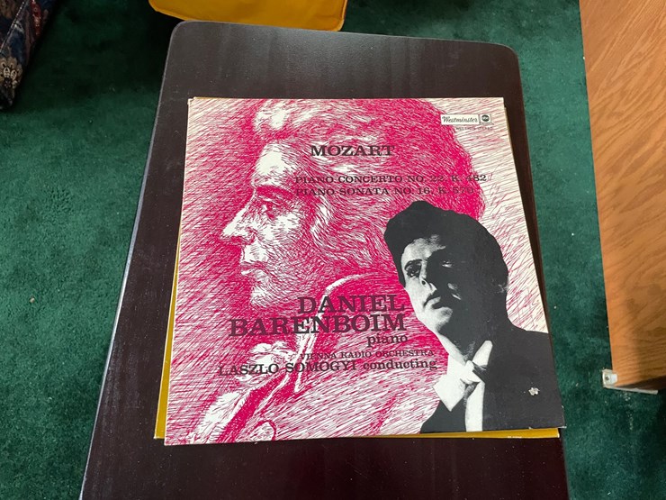 #7327-•-(10)-vinyl-records-image-13