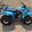 yamaha-350-terra-pro-atv-with-pto,-manual-transmission,-unknown-miles,-recent-tune-up,-with-48”-pull-image-5