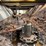 #102-•-70'-bark-conveyor-image-6