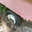 #7005-•-(2)-trailers-and-misc.-scrap-image-12