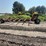 10-bale-round-bale-trailer,-just-went-through-the-shop,-235/80r16-tires-on-8-bolt-rims,-believed-to-image-3