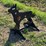 #4020-•-coyote-target-image-2