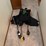 #7303-•-euro-harness-image-2