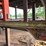 #128-•-8-head-trim-saw-image-25