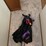#7302-•-euro-harness-image-2