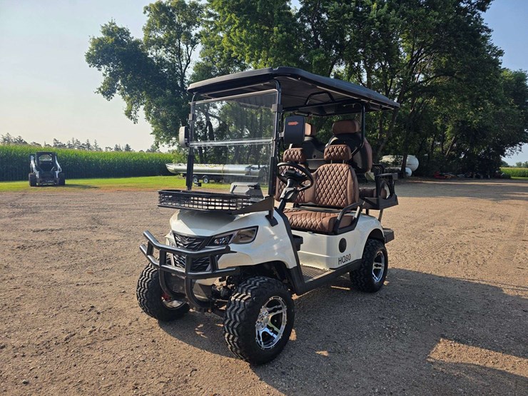 sdlg80-electric-golf-cart,-1.3-miles-(will-go-up),-60v-motor,-4-passenger,-approx-battery-range:-50-image-2