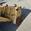 2008-caterpillar-430e-image-9