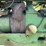 john-deere-70-image-42