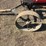 economy-7-horse-hit-and-miss-engine,-cart,-and-original-base-image-39