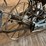 very-nice-original-van-brunt-model-v-grain-drill-image-21