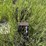 1988-john-deere-9450-image-3