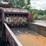 #168-•-morbark-hd30-mulch-hog-image-8