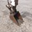 bobcat-331e-image-14