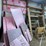#7104-•-contents-of-wall-image-2