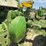 john-deere-630-image-36