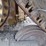 caterpillar-d6m-lgp-image-14