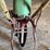 john-deere-walking-planter-image-9