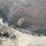#175-•-56”-circular-saw-blade-image-6
