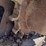 bobcat-t190-image-13