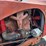 1951-massey-ferguson-44-image-34