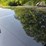 1992-nissan-sx-convertible,-78,858-miles,-per-seller:-new-plugs,-wires-and-oil-change-summer-of-’25,-image-55