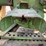 john-deere-630-image-70