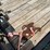 14-ft-tandem-axle-trailer,-low-profile,-with-winch,-weighs-less-than-2500#-image-6
