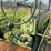 john-deere-50-image-44