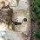 #7012-•-water-wheeler-pedal-boat-image-6